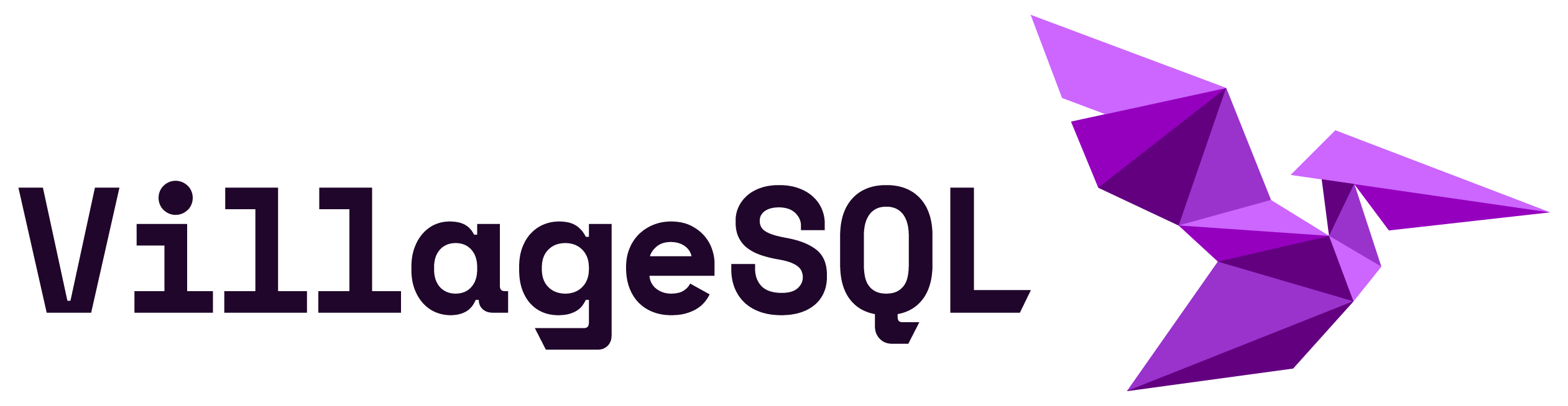 Village SQL - Platinum Sponsor
