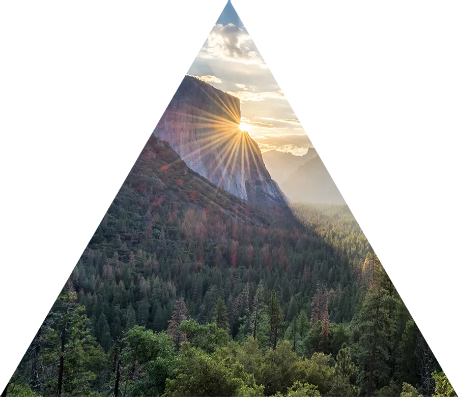 Background decoration